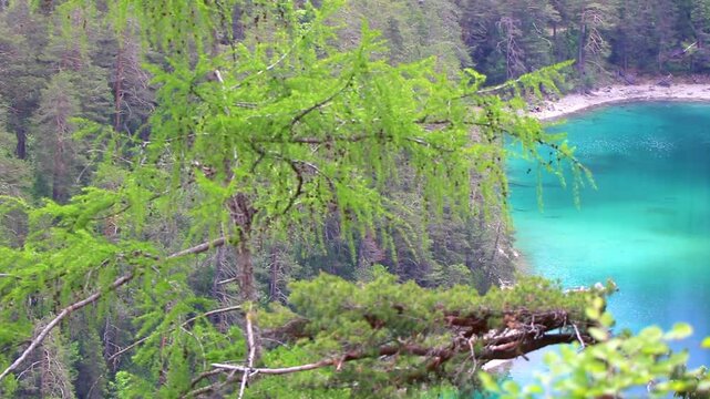 Blindsee lake turquoise water at Zugspitze mountain alpine landscape Austria.