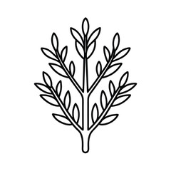 Aerial Drone View of Coral Bean Landscape