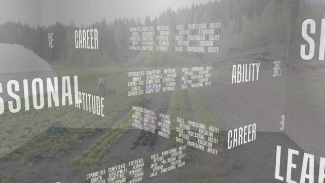 On rotating text cube appearing, farm workers planting and arranging seedlings for agriculture