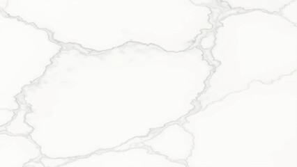 Statuario Marble marble texture