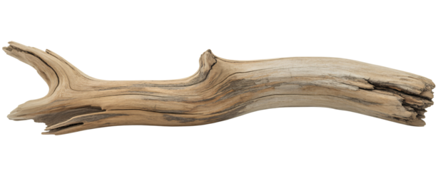 Weathered Driftwood Branch Isolated on transparent background Perfect for Design Projects and Nature Themes