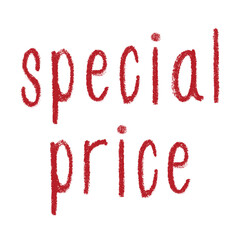 Special price lettering Handwritten word Modern brush calligraphy Template for marketing ad, print, web, banner, poster, flyer Ink illustration