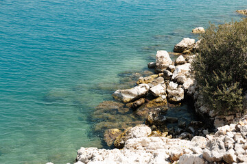 Peaceful Shoreline with Turquoise Waves and Golden Sand, Turkuaz Dalgalar ve Altın Kumlarla Huzurlu Sahil