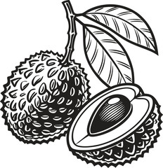 Hand-drawn vector fruit illustration set: apple, banana, and apple on a branch with leaf, in a vintage sketch design perfect for food patterns