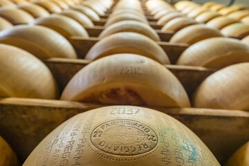 Traditional production process of Parmigiano-Reggiano hard cheese in Parma, Italy