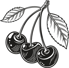 Fresh, ripe red cherries with green leaves, isolated for a healthy sweet fruit dessert