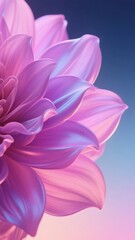 Fototapeta premium Vibrant Pink Dahlia with Gradient Background