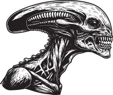 Detailed Black and White Illustration of a Xenomorph Alien Head