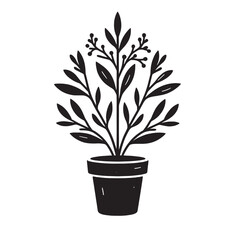 Plants svg
