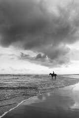 Horses of Parangtritis Beach at Sunset