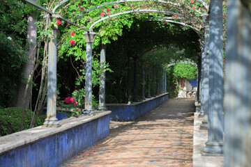 bridge in the park