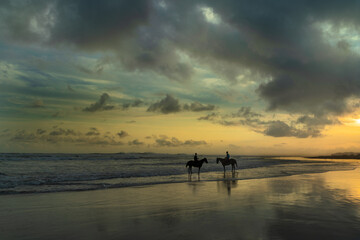 Horses of Parangtritis Beach at Sunset