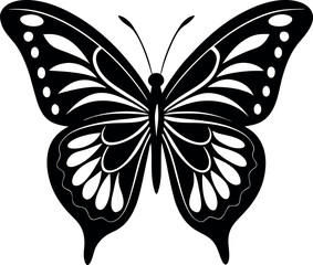 butterfly vector illustration