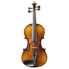 Obraz premium detailed illustration of wooden violin showcasing its elegant curves and rich color. instrument is positioned upright, highlighting its craftsmanship and design