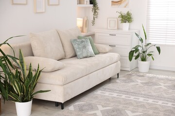 Comfortable sofa and stylish rug in room. Interior design