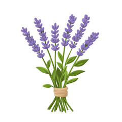 Naklejka premium Beautiful bundle of lavender flowers with vibrant purple blooms and green leaves, perfect