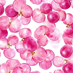 Bright pink flower petals scattered on a white background.