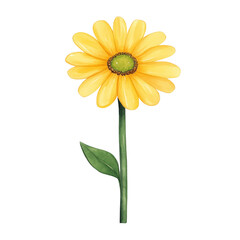 Fototapeta premium Cheerful yellow daisy flower with green center and leaf, perfect for brightening any design