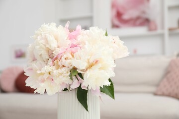 Bouquet of beautiful peonies at home , closeup
