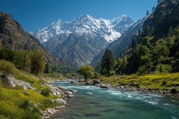 Obraz premium Serene river flowing through lush himalayan valley with snow-capped mountains under clear blue sky capturing nature's breathtaking beauty and tranquility for nature and travel enthusiasts