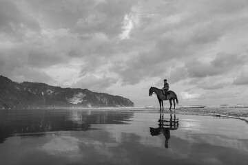 Horses of Parangtritis Beach at Sunset