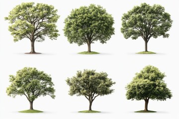 A diverse collection of trees showcasing nature s green beauty against a light in white background. Generative Ai