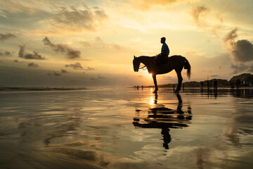 Horses of Parangtritis Beach at Sunset
