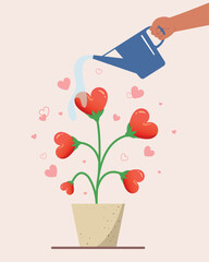 Concept of love growth up. Flower hearts shape in a pot, Watering trees concept. 