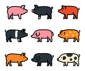 Fototapeta premium Nine Pig Breeds
