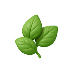 3d basil leaf greenery icon isolated on transparent background. Herb and culinary concept
