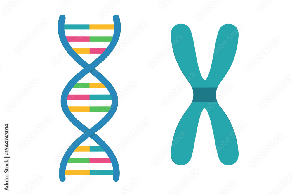 Aufkleber the concept of dna chromosomes is represented in a science and technology vector background suitable