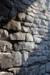 A brick wall with a shadow on it. The shadow is on the wall and it is a very interesting and artistic look