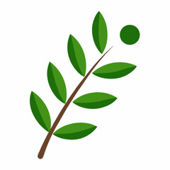 Olive tree twig botanical vector icon on white background.