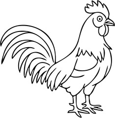 chicken vector line art illustration, isolated on white