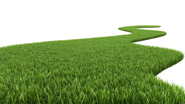 Grass curve path road