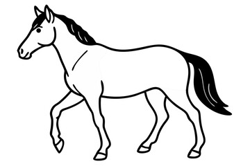 horse vector illustration