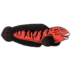 Cartoon channa red marulioides borneo