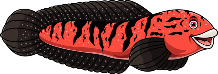 Cartoon channa red marulioides borneo