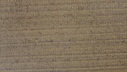 田植えが終わった水田をドローンで空撮