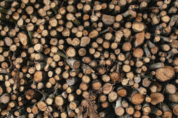Stack of firewood logs creating a textured background