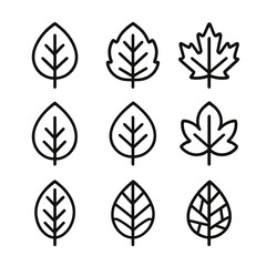 Seasonal Leaf Icons. Outline icon set of seasonal leaf colors: spring green, summer dark green, autumn red, autumn orange, autumn