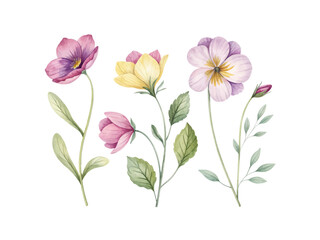 Various hand-painted watercolor flower cliparts isolated on transparent background perfect for floral arrangements, wedding designs, invitations, and decorative artwork