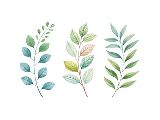Watercolor botanical leaf clipart set for wedding invitations, floral card decorations, seasonal greeting designs and green foliage digital artwork collection