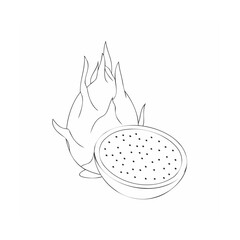 vector illustration of a dragon fruit