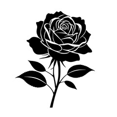 vector rose on a white background
