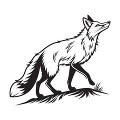 Fox Silhouette Vector Illustration Art