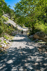Lone hiker ascending sunlit Agali Gorge trail