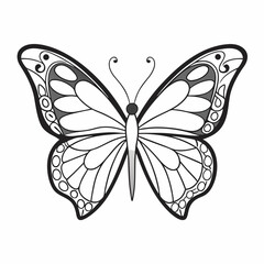 butterfly vector illustration