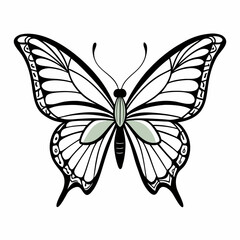 butterfly vector illustration