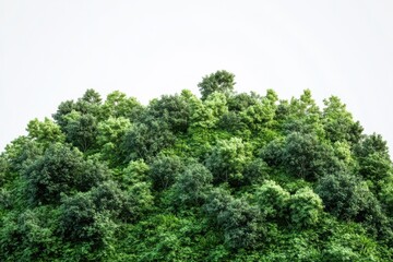Lush green hill adorned with vibrant trees evokes feelings of growth and nature in white background. Generative Ai